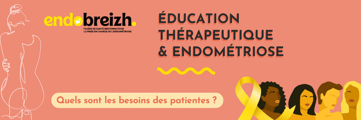 Image Etp & Endométriose Newsletter