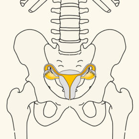 Imosteo Illu Endometriose