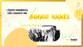 Bonne Année 2025 (image De Mise En Avant Actualité Site Endobreizh)
