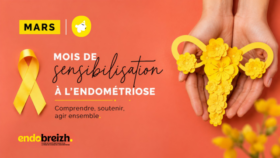 Mois De Sensibilisation à L’endométriose Mars 2025 (640 X 360 Px)
