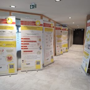 Photo Exposition Msp Langueux