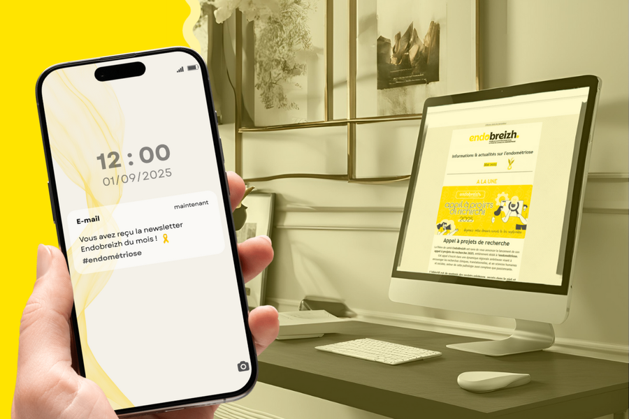 Illustration Réception Newsletter Endobreizh Page Site Actualités Pros (2)