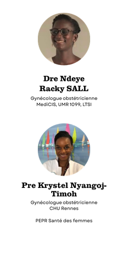 Equipe Porteuse Projet Chir Ia