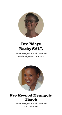 Equipe Porteuse Projet Chir Eep Ia