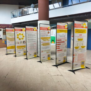 Exposition endométriose juin 2026 CHU de Rennes