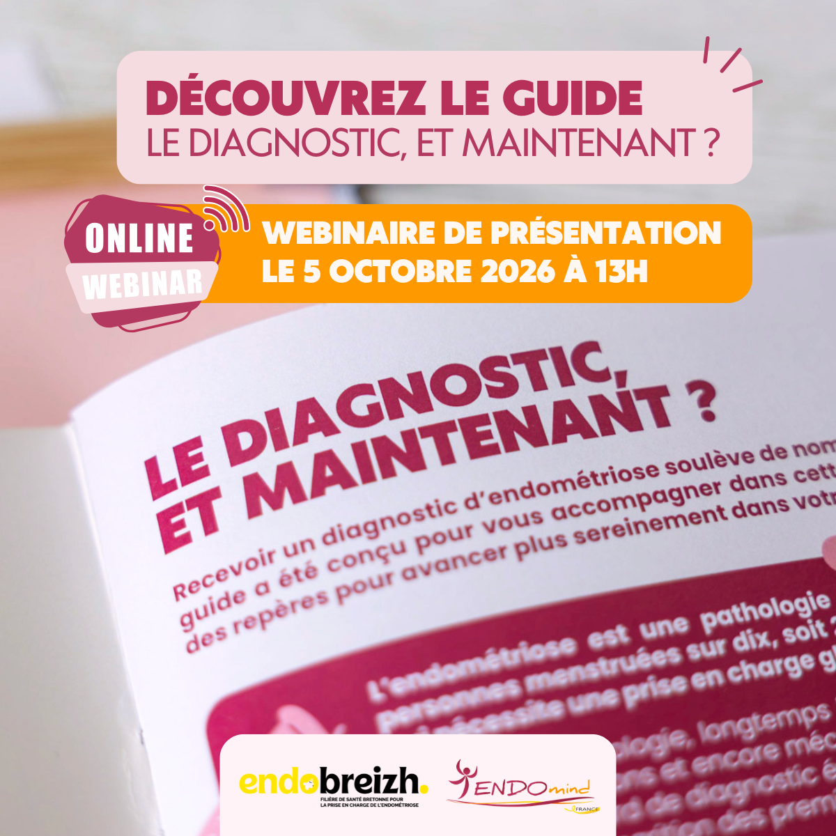 Linedin Guide Campagne Webinaire Endomind Endobreizh